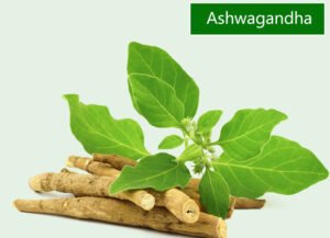 ashwagandha-benefits