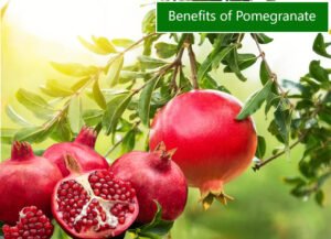 benefits of pomegranate