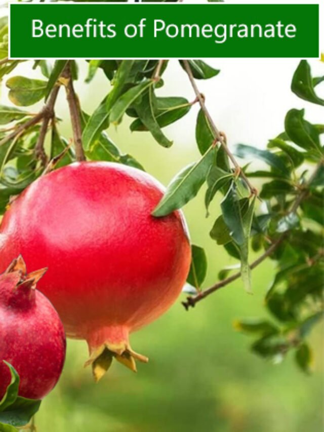 Top 5 health benefits of Pomegranate