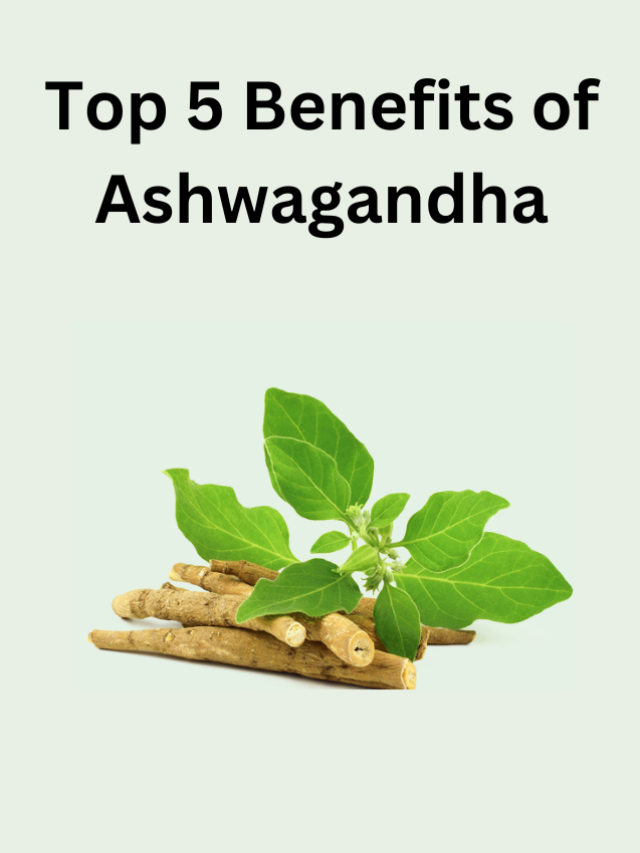 Top 5 Benefits of Ashwagandha