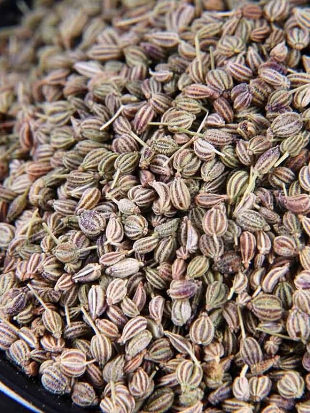 Why Carom Seeds are a Must-Have for Your Kitchen and Health