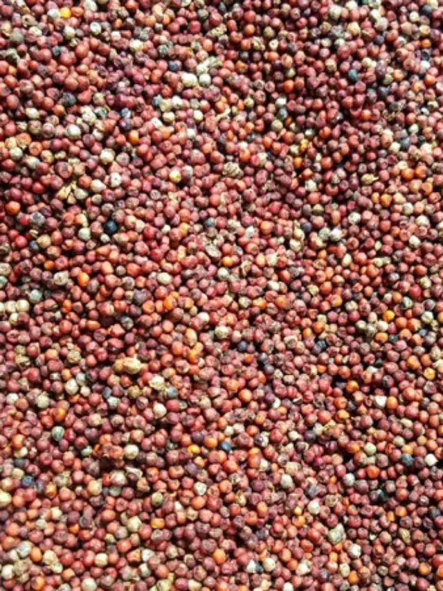 आयुर्वेद की धरोहर: भारतीय सरसों के 5 गजब के फायदे
