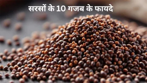 सरसों के फायदे