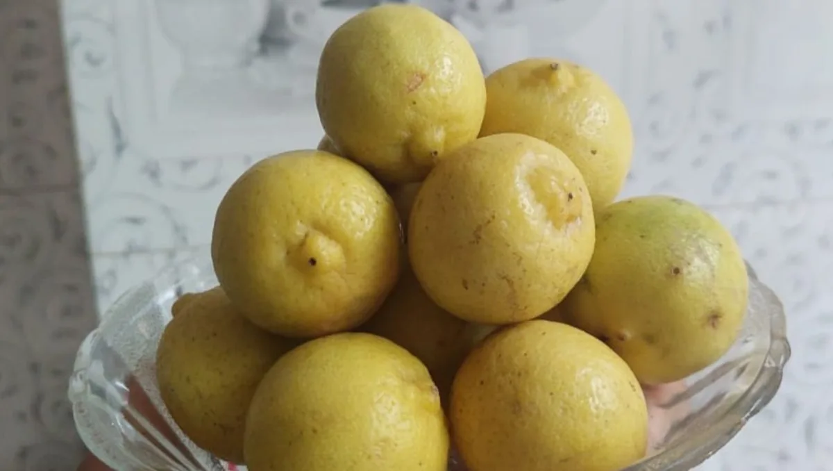 Lemon-Health-Benefits