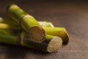 sugarcane health benefits